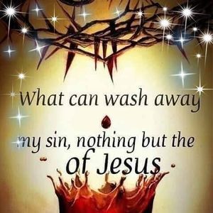 Meet your Posher, Doris